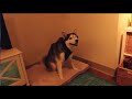 End of video