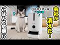 給餌器を使おうとしたらまさかの事態が!?お出かけ前に大慌て…