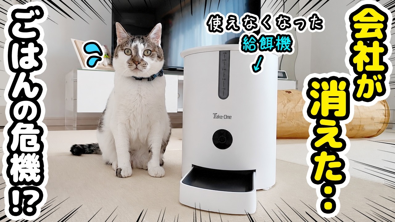 給餌器を使おうとしたらまさかの事態が!?お出かけ前に大慌て…
