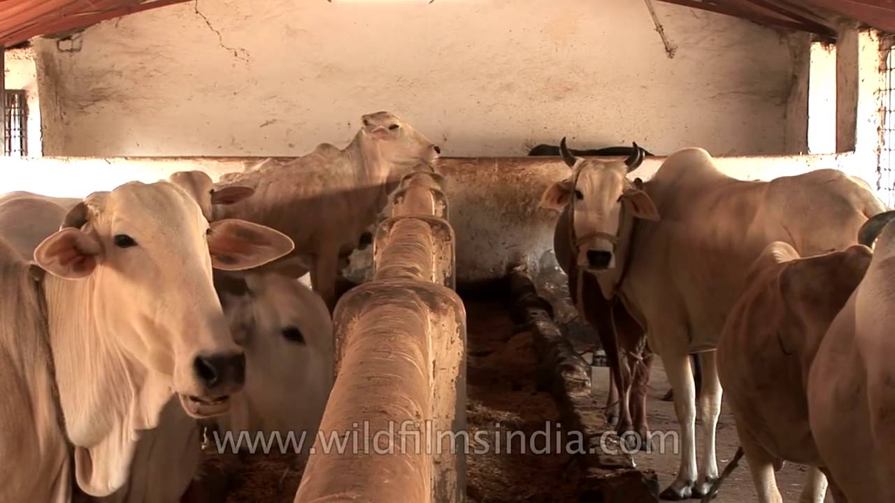 禁煙は副鼻腔の問題を引き起こす可能性があります