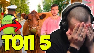 Download Lagu ТОП 5 НАЙ-ТЪПИ ЗАКОНИ В БЪЛГАРИЯ MP3