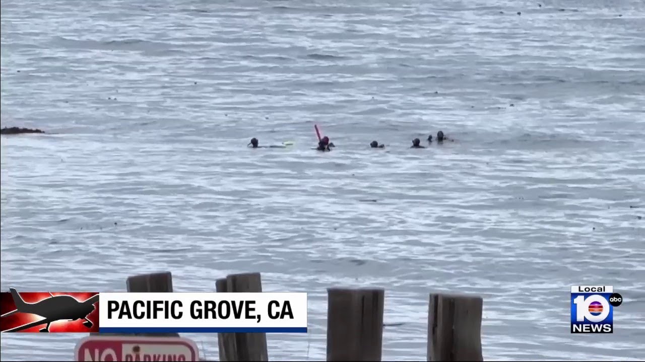 3 killed after small plane crashes into water off California coast ...