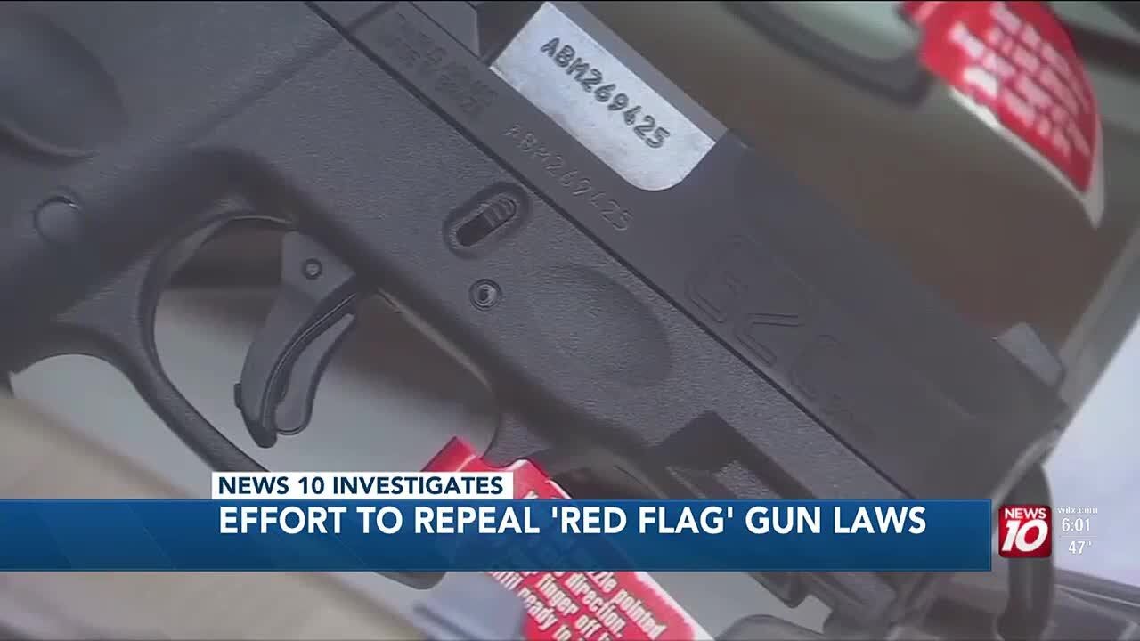 Republican lawmakers set sights on overturning Michigan Red Flag law ...