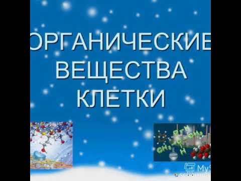 Органические вещества белки жиры углеводы липиды атф