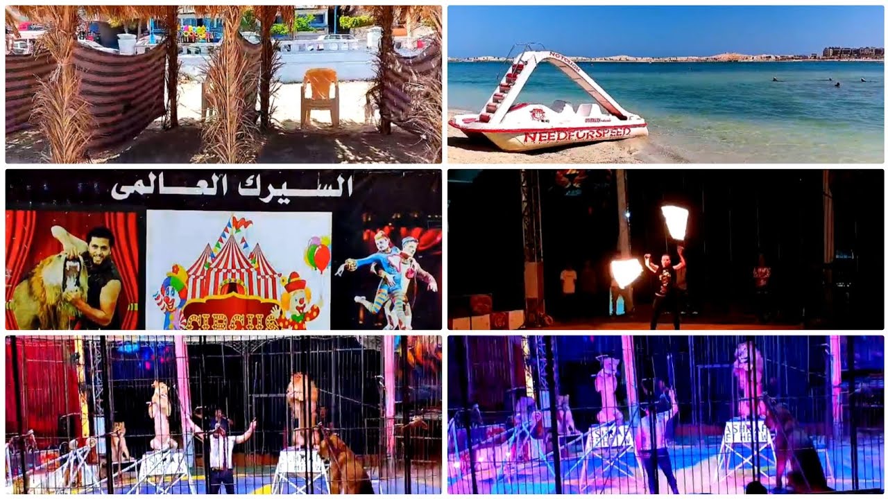 اخر يوم من مصيف مطروح 🏊شاطئ الفيروز🏖️ وكمان ختمنا بسهرة السيرك🎪 الجمال عدى الخيال 👍🤗