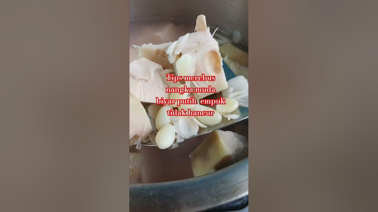 cara merebus nangka muda putih tidak hancur  cukup 5 menit #shorts #merebusnangkamuda