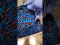 Medicine Capsules Making Process Shorts Shortsfeed Capsule