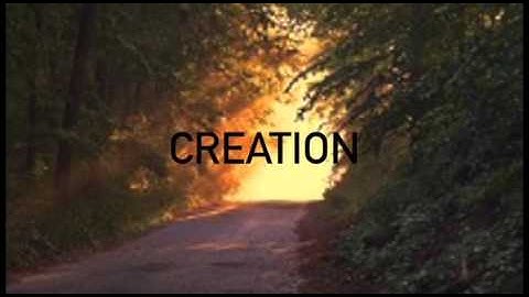 Nature vs Technology | Graphic Design Final Project