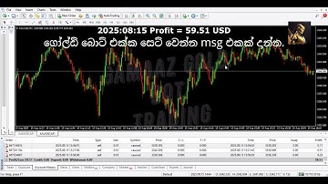 XAU/USD Robot – Auto Trading for Gold 2025.08.15 (Profit = 59.51 USD)