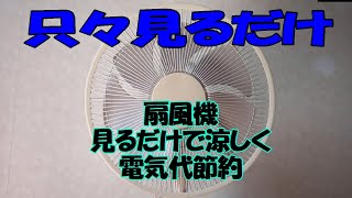 YouTubeとかでよく見る音風機、扇風機、盛りだくさんYouTube配信ネタに mqdefault.jpg
