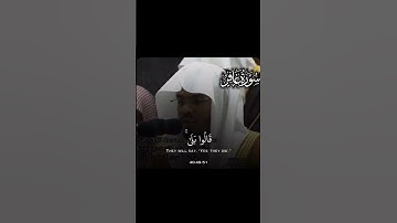 تلاوة خاشعة من سورة غافر |#ياسر_الدوسري #القرآن_الكريم