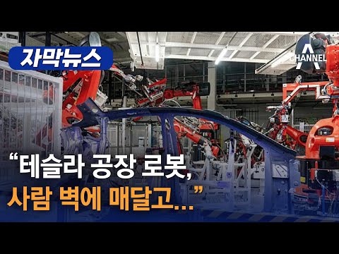 [자막뉴스] “테슬라 공장 로봇, ”사람 벽에 매달고… / 채널A