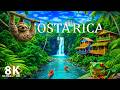Costa Rica in 8K Ultra HD 🇨🇷 | A Journey Through Lush Rainforests, Waterfalls &amp; Tropical Wildlife