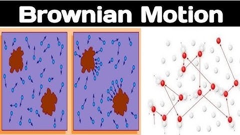 Albert Einstein explain of Brownian motion