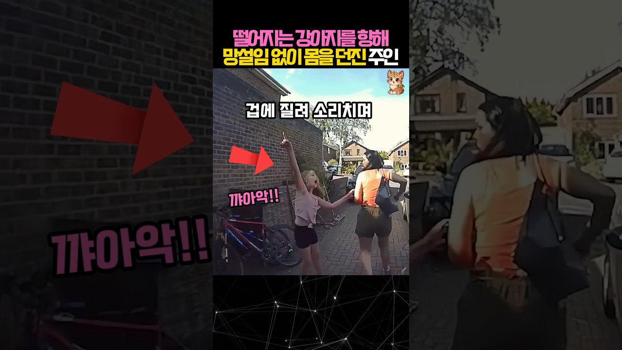 추락하는 자신의 강아지를 온몸으로 구한 여성 #개 #강아지구조 #dog