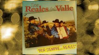 Video thumbnail of "Los Reales del Valle - El Embustero"