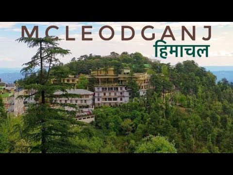 ვიდეო: Mcleod Ganj: ტიბეტური საზოგადოების სახლი ინდოეთში