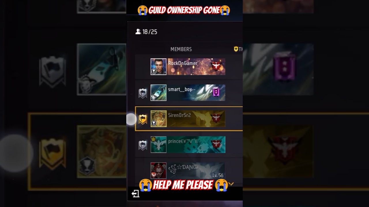HELP ME 😭 (guild ownership transfer by a glitch)