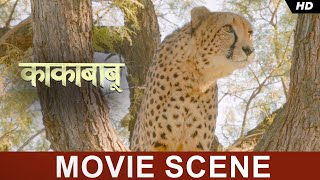 खतरनाक मुकाबला ! | Kakababu | Prosenjit | Aryann | Srijit | Movie Scene | SVF Bharat