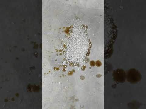 How to clean spilled oil with kitty litter