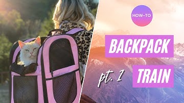 How To Backpack Train Your Cat in 5 Steps (Pt. 1)