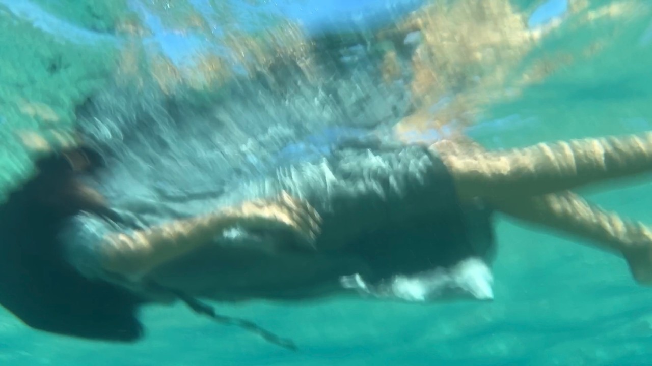 Фрагменты января — видеоблог от Рэй.