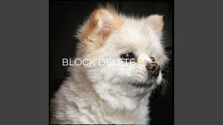 Block Delete