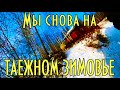 Мы снова на таежном зимовье, встреча с корешком, улов, Буран и нарты