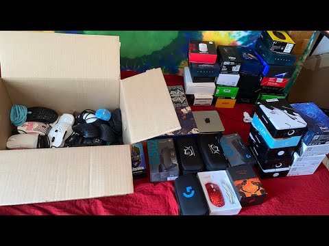 I Have HOW MANY Mice? Counting ALL Of My Mice (SHOCKING)