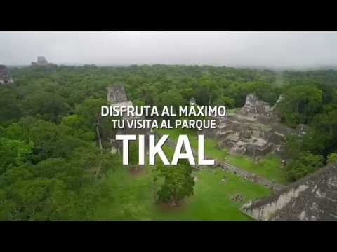 Compra tus entradas al Parque Tikal en cualquier agencia Banrural