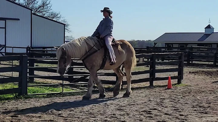Cindy Calhoun and Buttered Bread Freestyle WJ Hors...