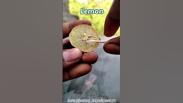 Lemon and highlighter experiment /🙂 #shortsfeed #shorts #ytshorts #experiment