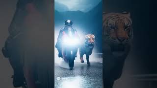🏍️⚡🐯 SUPERBIKE vs TIGER – Storm Speed Duel #AIshorts #SuperbikeVsTiger #StormSpeed #Lightning