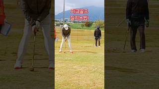 어프로치 잘하는법 #파크골프 #파크골프치는법