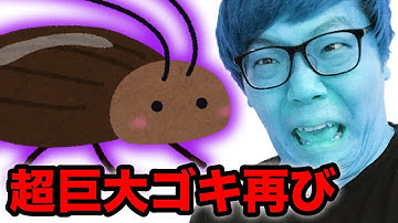 【閲覧注意】また超巨大ゴキブリが出現！壮絶バトル！