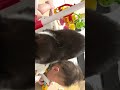 俺を超えていけ