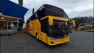 TERMINAL BATOH BANDA ACEH ‼️ BUS CHASIS PREMIUM PADA NGUMPUL KALAU SORE