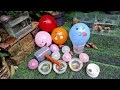 Popping balloons !! Meletus balon & menangkap ikan hias molly glofish snail kelomang kepiting bulus