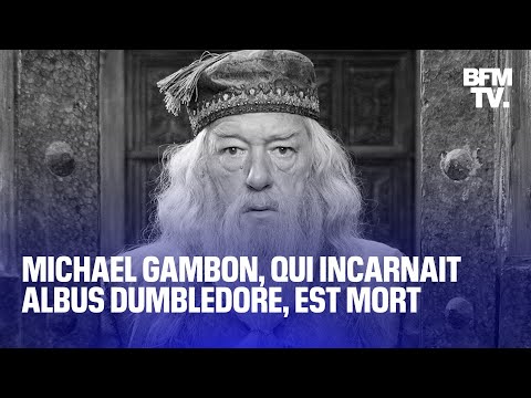 Mort de Michael Gambon, qui incarnait Dumbledore dans &quot;Harry Potter&quot;