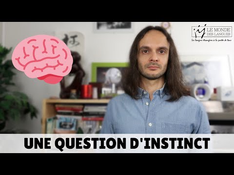 Vidéo: Quel code de langue est mnémonique ?