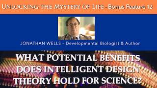 What potential benefits does intelligent design theory hold for science? @IllustraMedia
