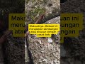 #Rancakalong#SUMEDANG#MENHIR#SPIRITUAL#batuan#LEMURIA#sejarah#Peradaban#Simbol#Seni#Budaya#Nusantara