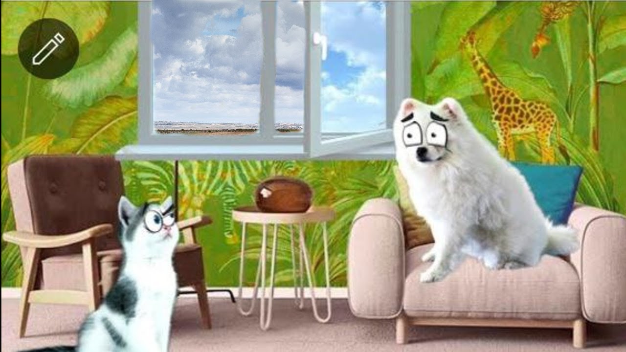 ПРОПАЛ Наш КОТЕНОК!!! Кто ПОХИТИТЕЛЬ? ЧЕЛОВЕК ЗА ОКНОМ?! - YouTube