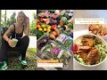 $200 Healthy Grocery Haul from a Nutrition Student! (Meal ideas included)