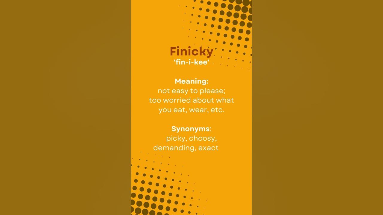 finicky-word-learn-english-word-pronunciation-meaning-youtube