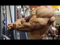 The ultimate biceps collection