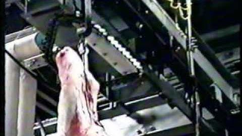 High Accuracy In-Motion Monorail Scale