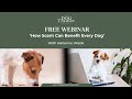 How Scent Can Benefit Every Dog