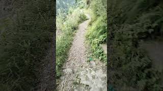 Seri Village trek in mountain.#adventure #shortvideos #solotraveller #minivlog #shortclips