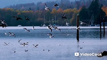قَالَ كَمْ لَبِثْتُمْ فِي الْأَرْضِ عَدَدَ سِنِين تلاوة مباركة بصوتي لأواخر سورة المؤمنون 
